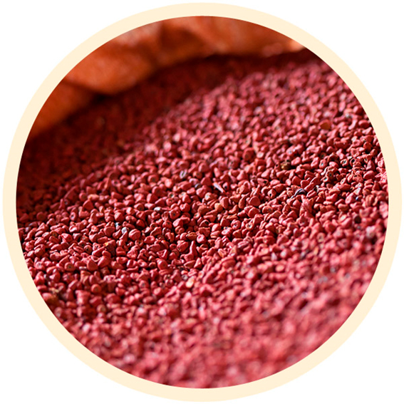 achiote