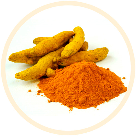 curcuma