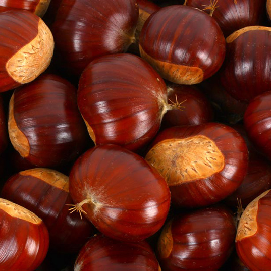 Chestnuts